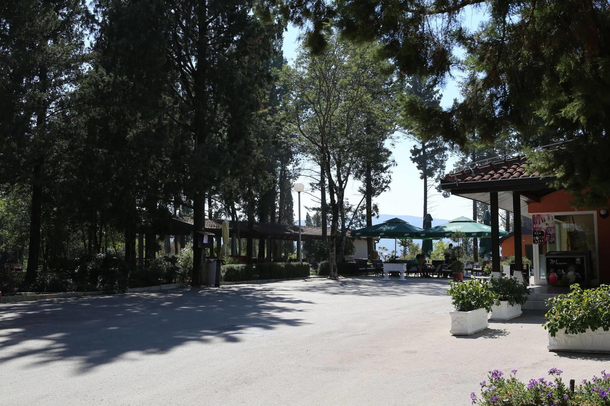 Hotel Park Visici Exterior photo